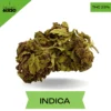 LA Pop Rocks AAAA+