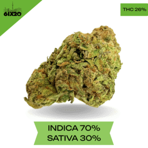 Cake Crusher AAA