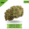 LSD Cannabis strain AAA+