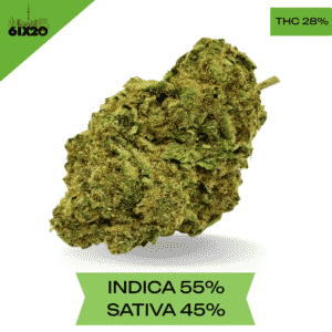 LSD Cannabis strain AAA+