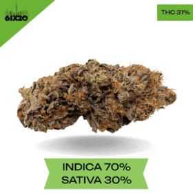 Black Gas AAAA+