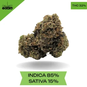 Astropink Kush AAAA+