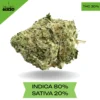 Afgoo OG AAA