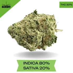 Sticky Icky AAAA+ SUPER STICKY SALE