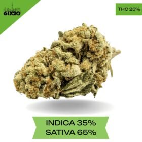 BC Big Bud AAA 3OZ Deal