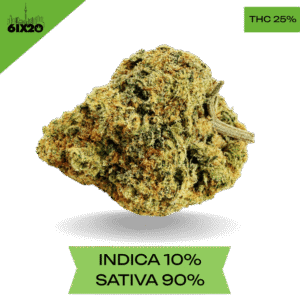 Durban Poison AAA+