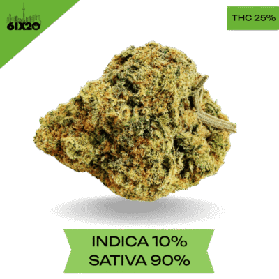 Durban Poison AAA+