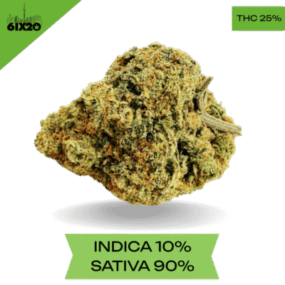 Durban Poison AAA+