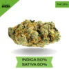Durban Poison AAA+