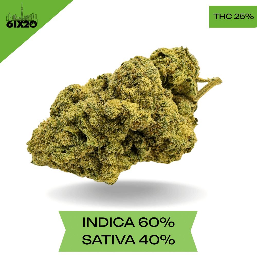 Oro Blanco AAA