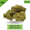 Blue Dream AAA Sativa