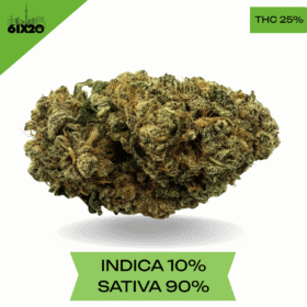 Durban Poison AAA+
