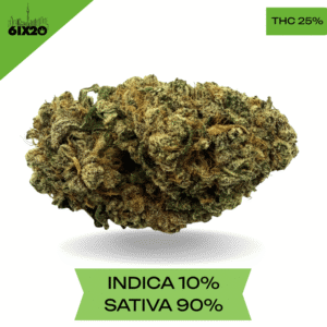 Durban Poison AAA+