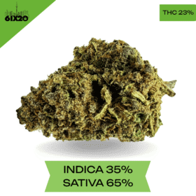 Green Crack AA+