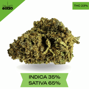 Green Crack AA+
