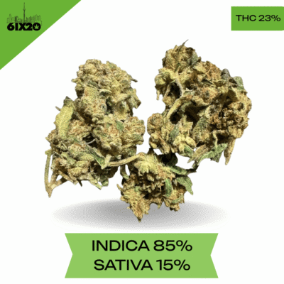 Black D.O.G AAA 3.oZ
