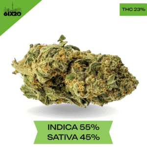 Chemdawg AAA+