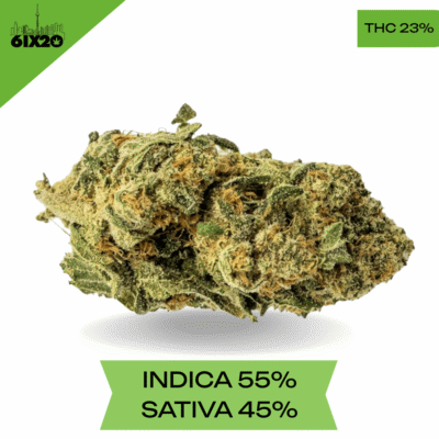 Chemdawg AAA+