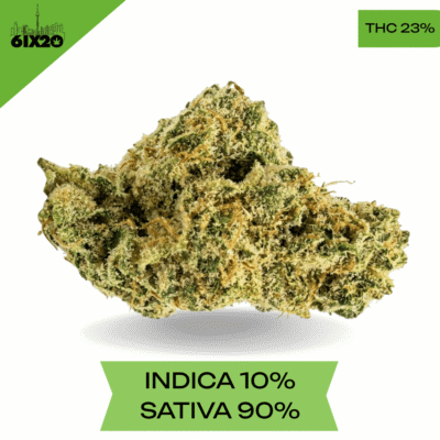 Sour Diesel AAA+