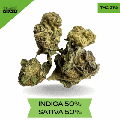 Space Queen AAA 3.oZ